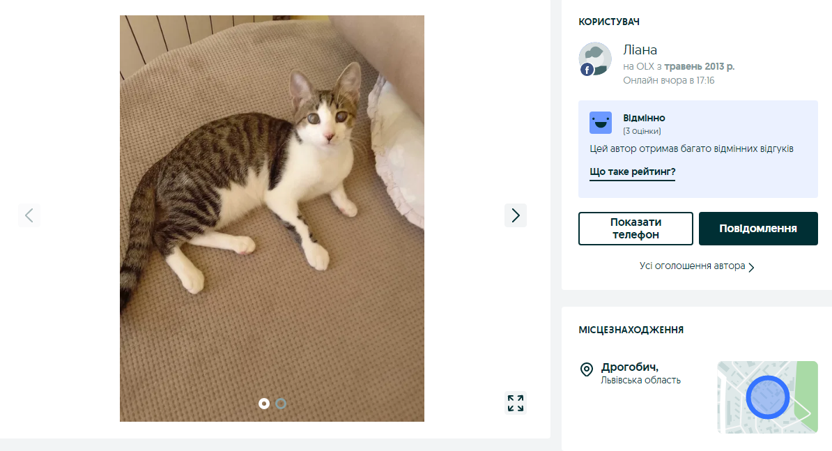 котик Дрогобич