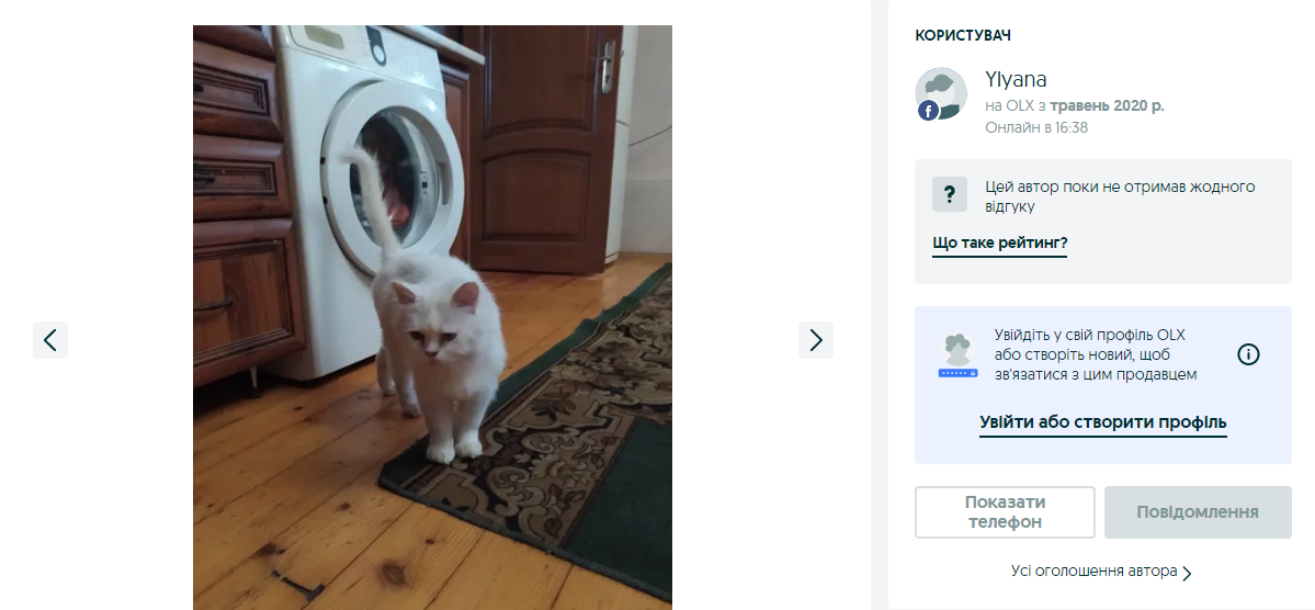 коти безкоштовно Дрогобич