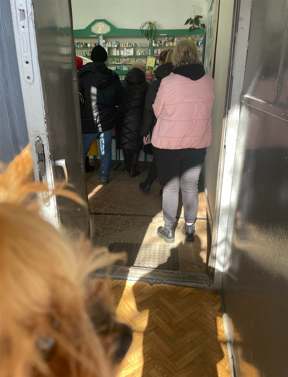 Софія з собачкою Бетті в черзі за ліками