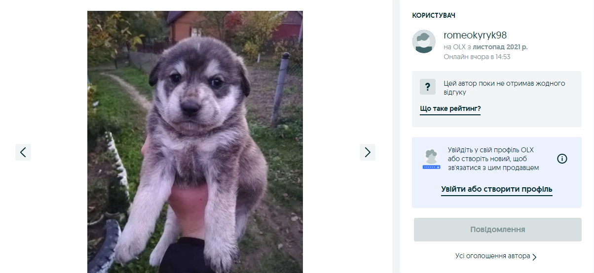 собака безплатно дрогобич