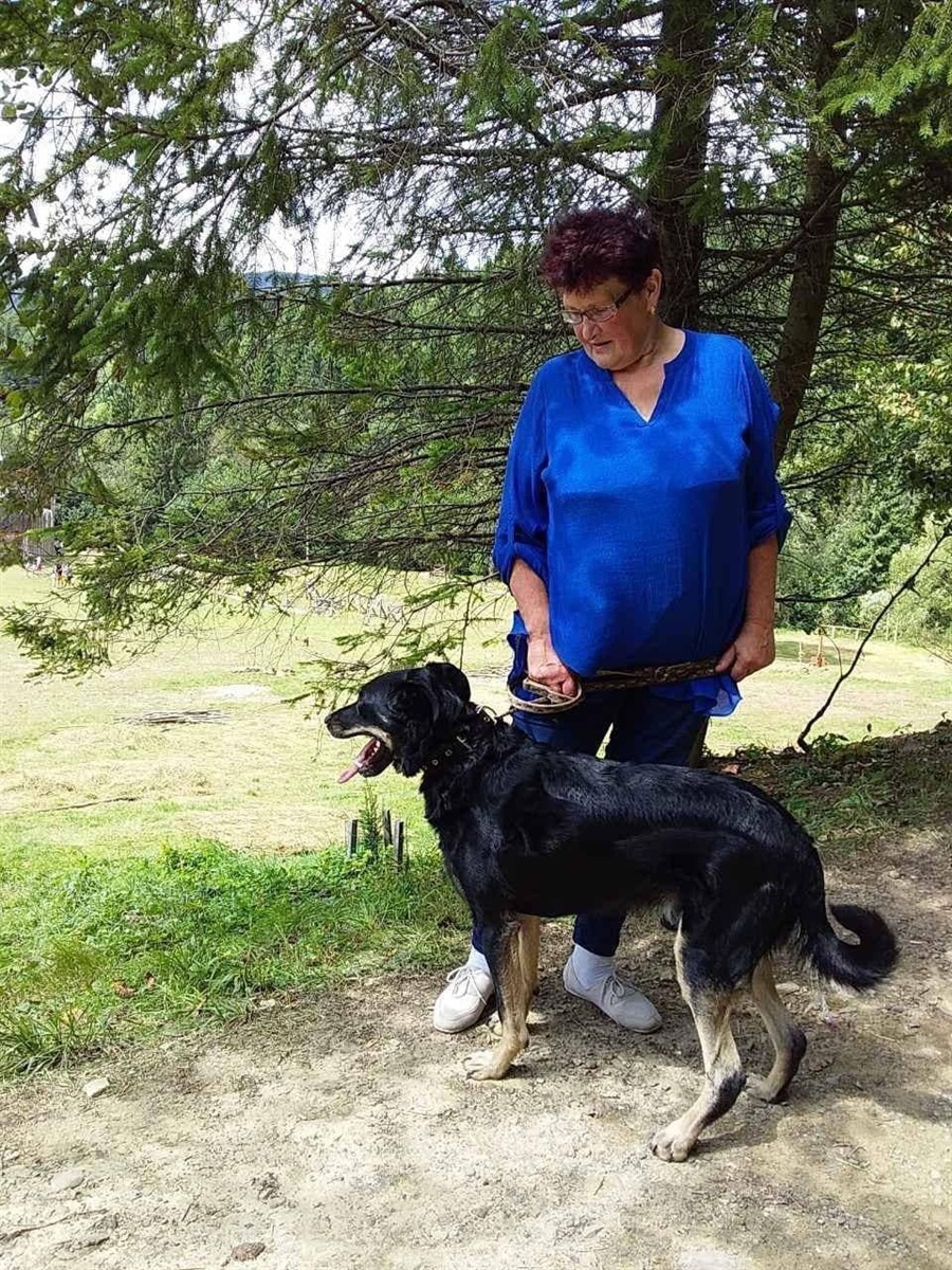 Прилаштований Лакі