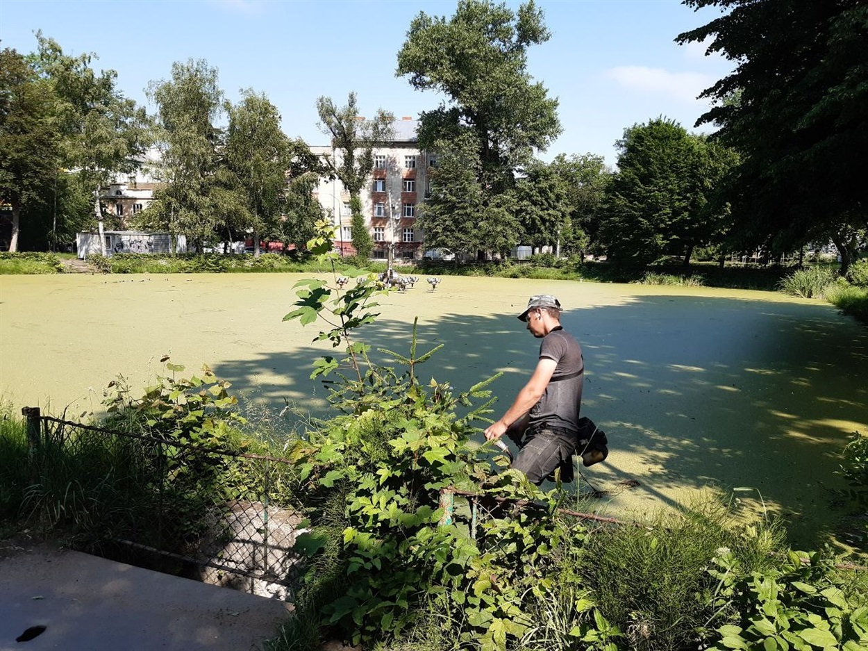 Звук мотокоси лунав постійно