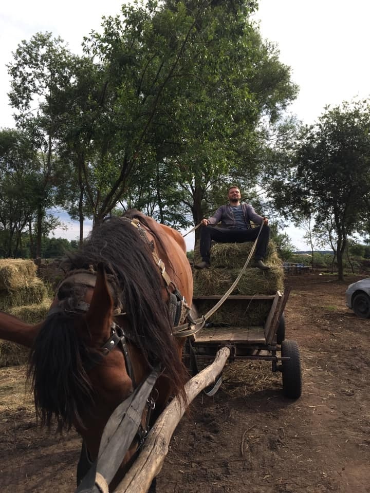 Воз із сіном