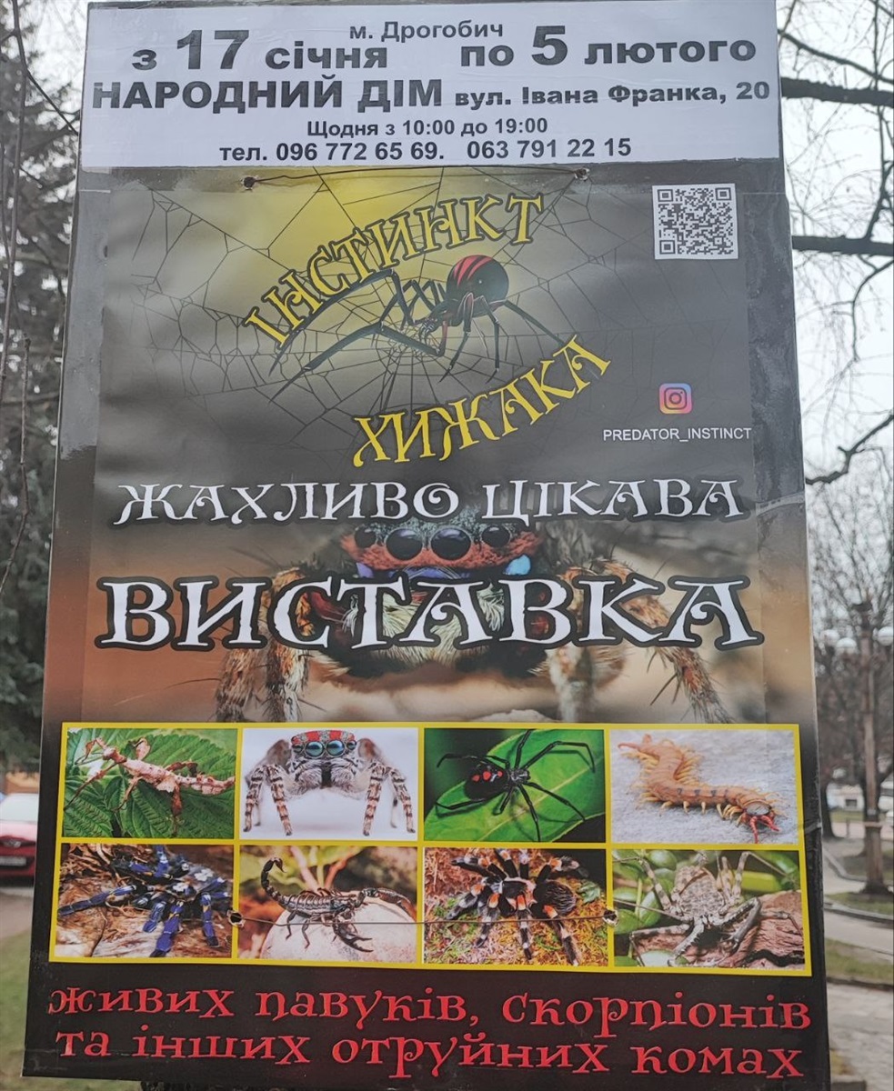 Афіша виставки