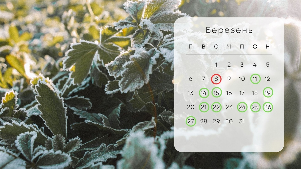 Календар на березень 2023 року