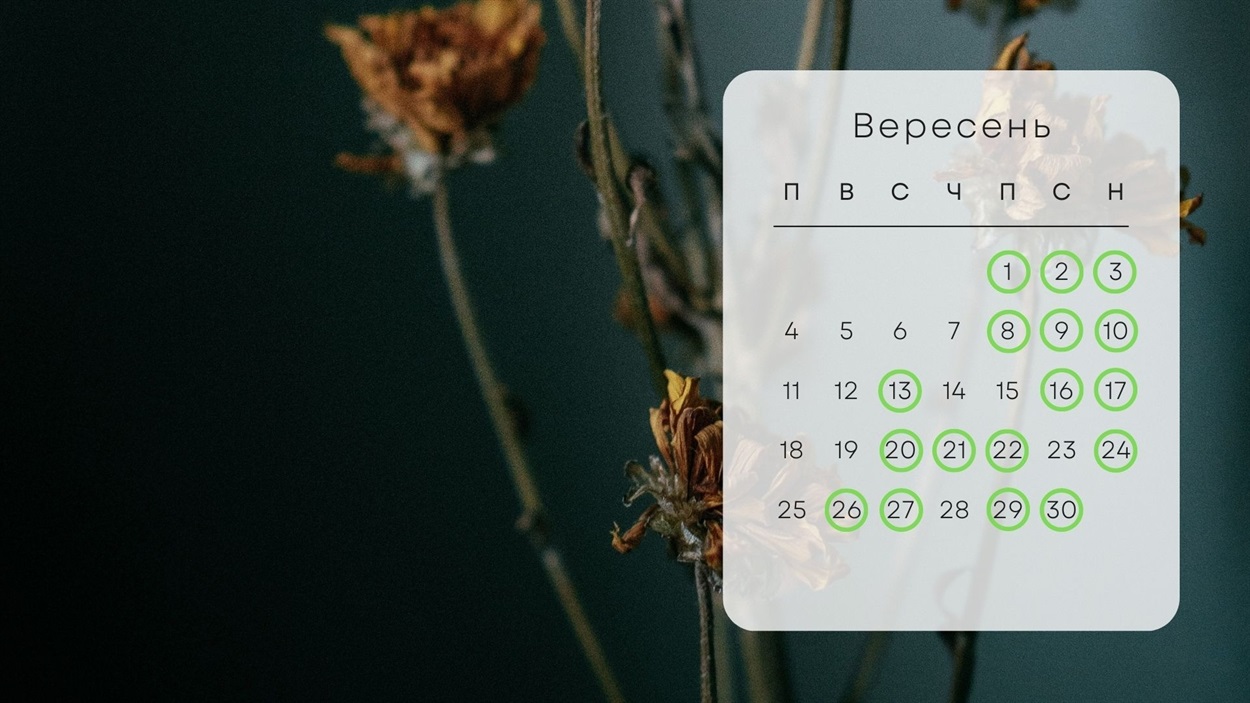 Календар на вересень 2023 року