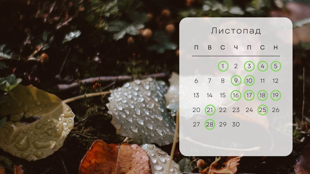 Календар на листопад 2023 року