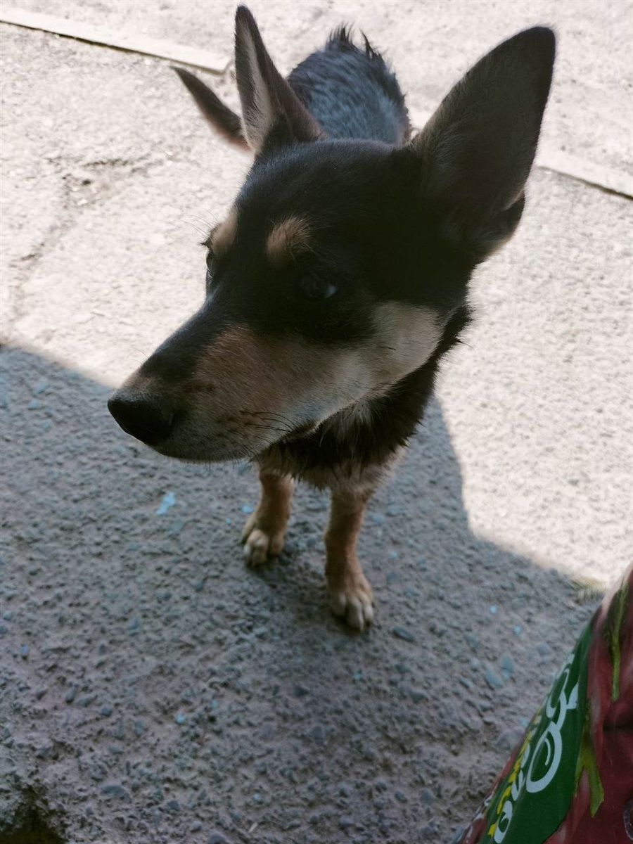 Хлопчик