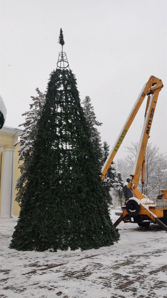 Встановлення ялинки у Дрогобичі