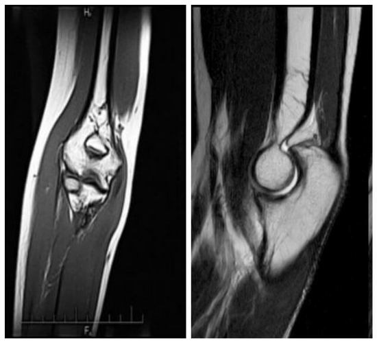 https://www.meddiagnostica.com.ua/uk/diagnostics/mrt/mrt-kolinnogo-sugloba/