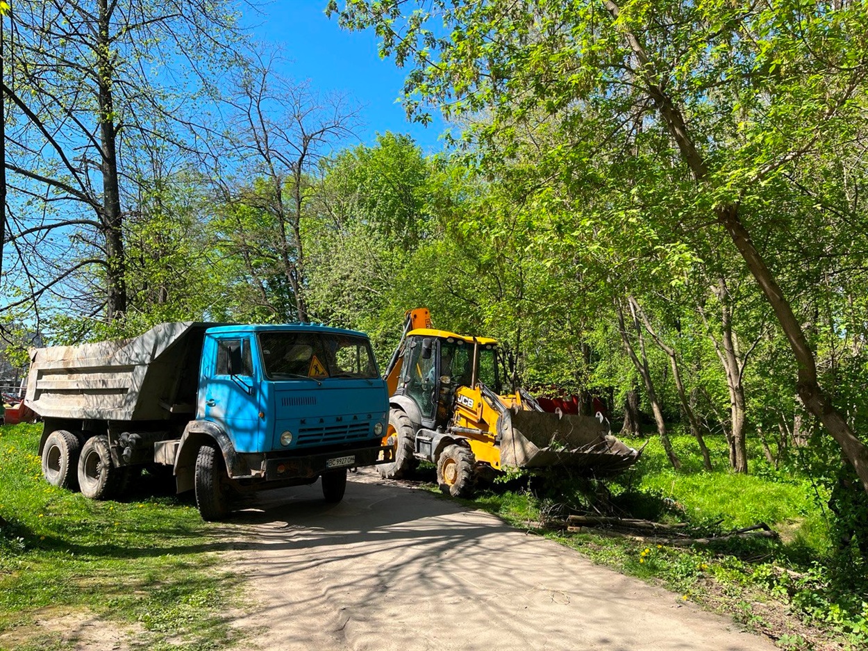 Було чимало зрізаних кущів та сухих гілок