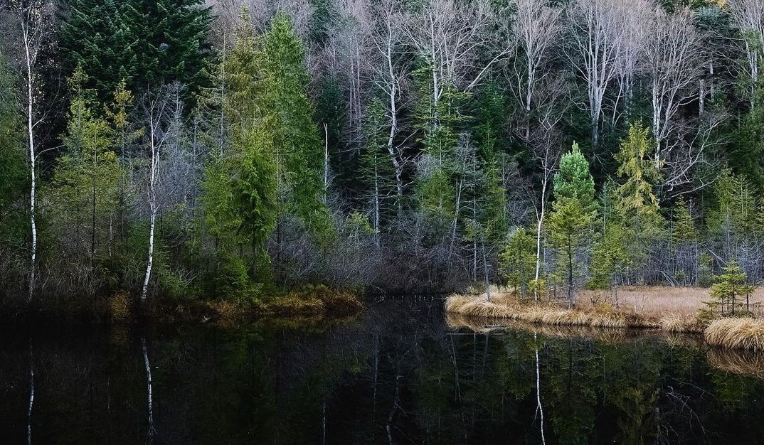 Озеро Журавлине (Мертве)