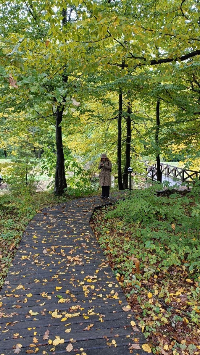 Острівець з осінньою атмосферою