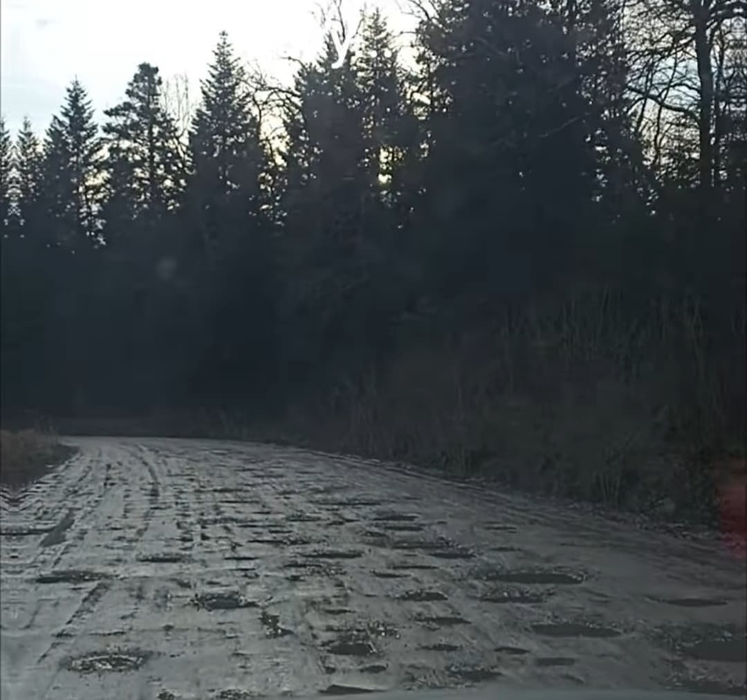Село Медвежа