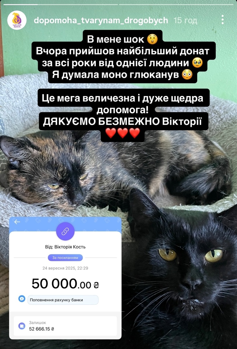 Донат від Вікторії Кость