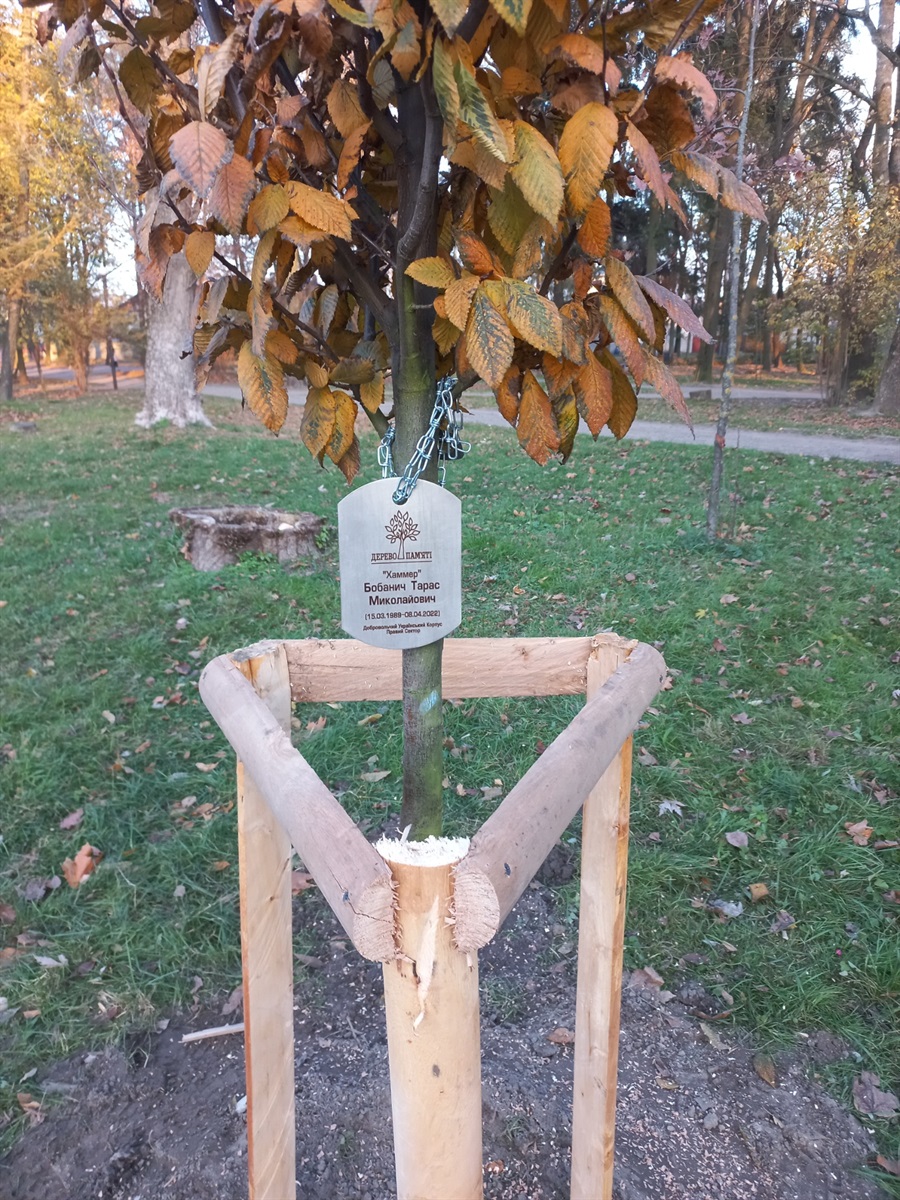 “Пам’ять — живий організм, що має рухатися”: інтерв'ю з дружиною Героя України Тараса Бобанича