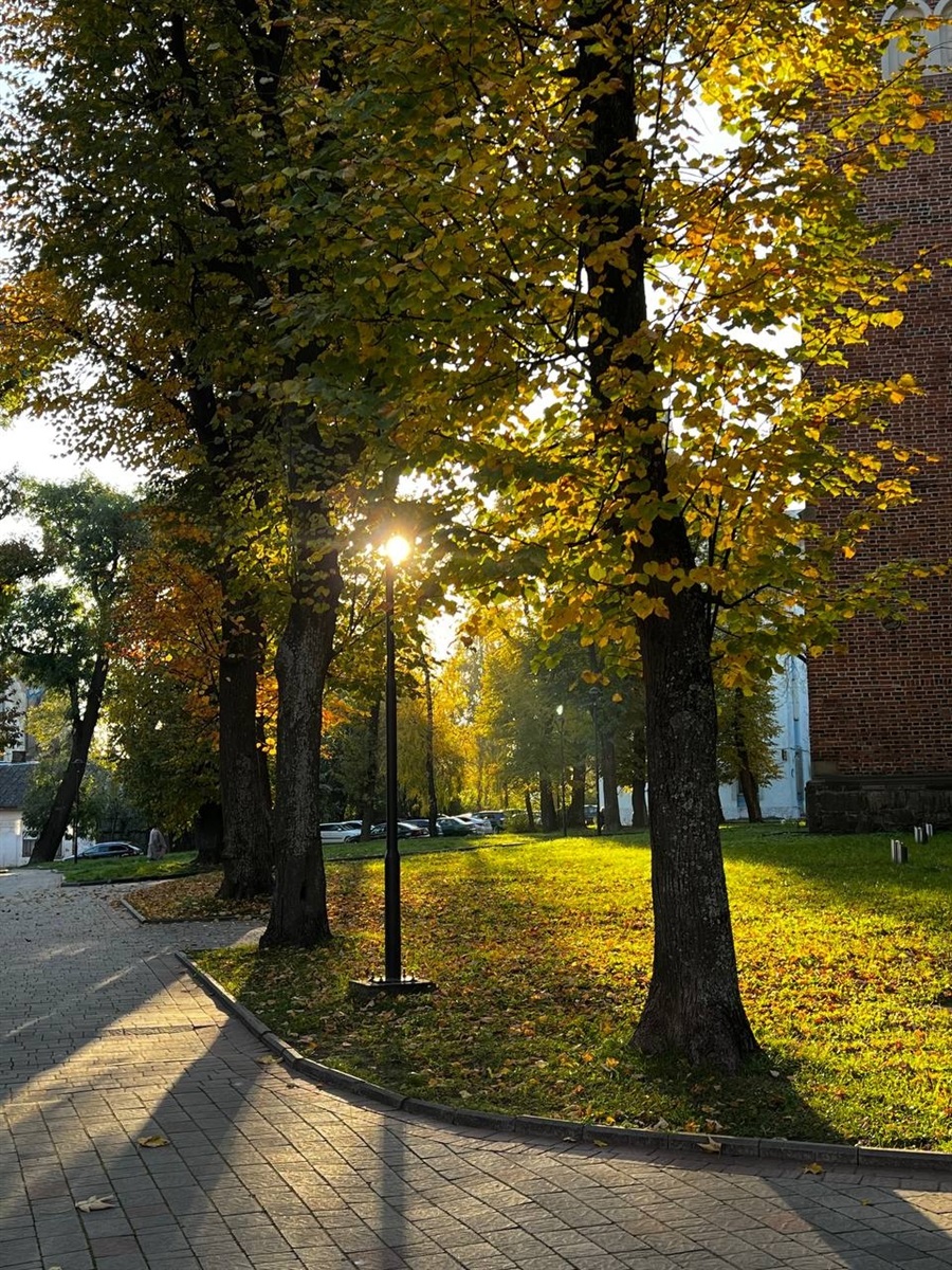 “Хочу, щоб інші надихалися містом”: історія “Дрогобич естетичний” від засновниці Вікторії Новеллі