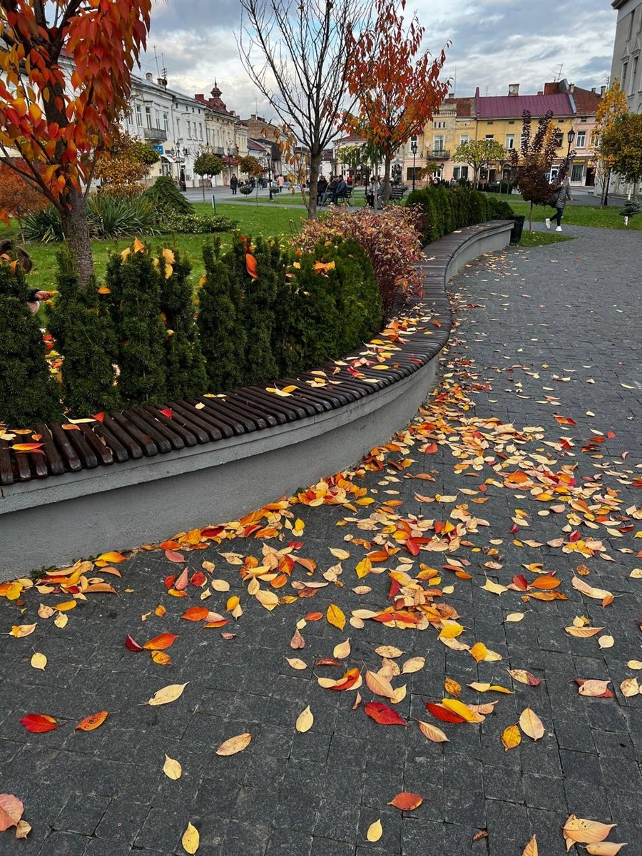 “Хочу, щоб інші надихалися містом”: історія “Дрогобич естетичний” від засновниці Вікторії Новеллі