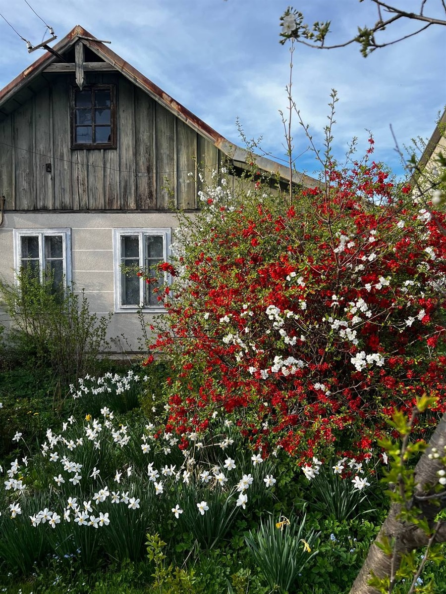 “Хочу, щоб інші надихалися містом”: історія “Дрогобич естетичний” від засновниці Вікторії Новеллі