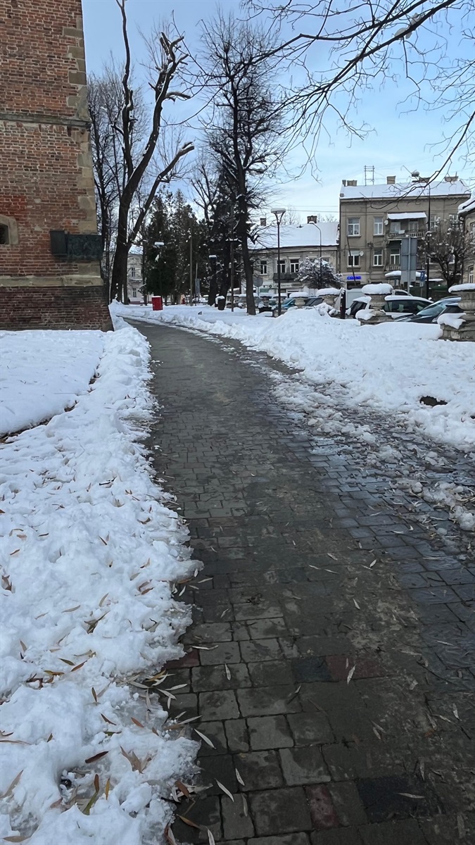 Дрогобич після першого снігу: яка ситуація на дорогах і тротуарах міста