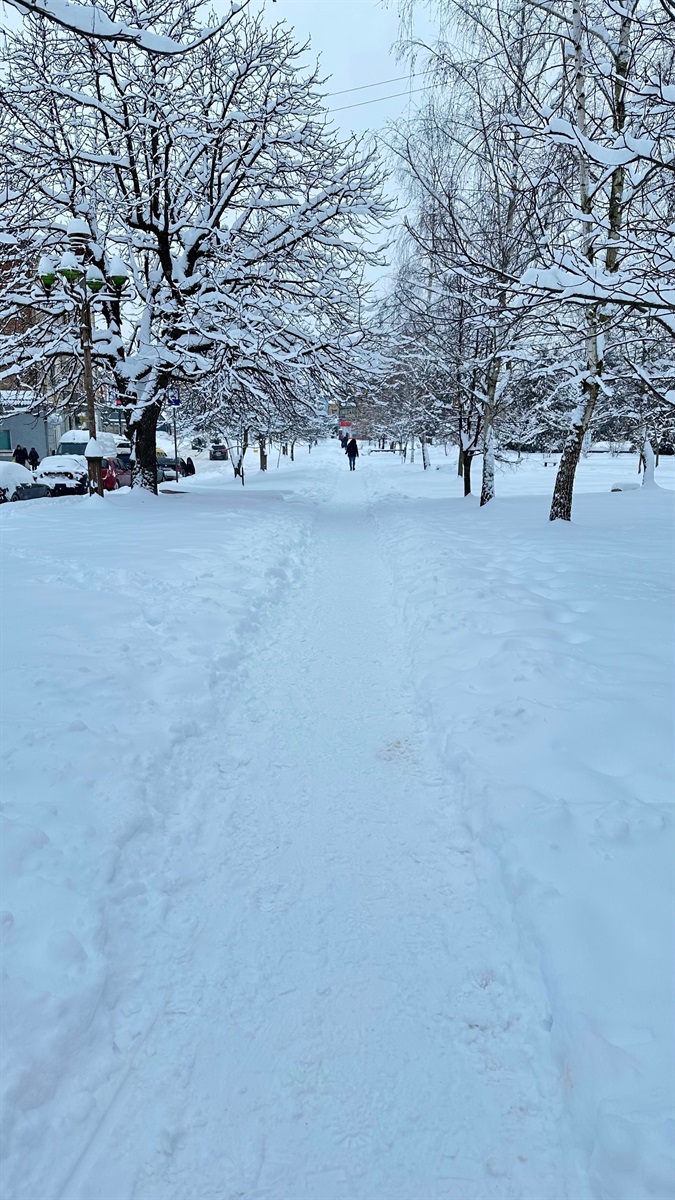 Як Дрогобич долає наслідки снігопаду: репортаж з вулиць міста
