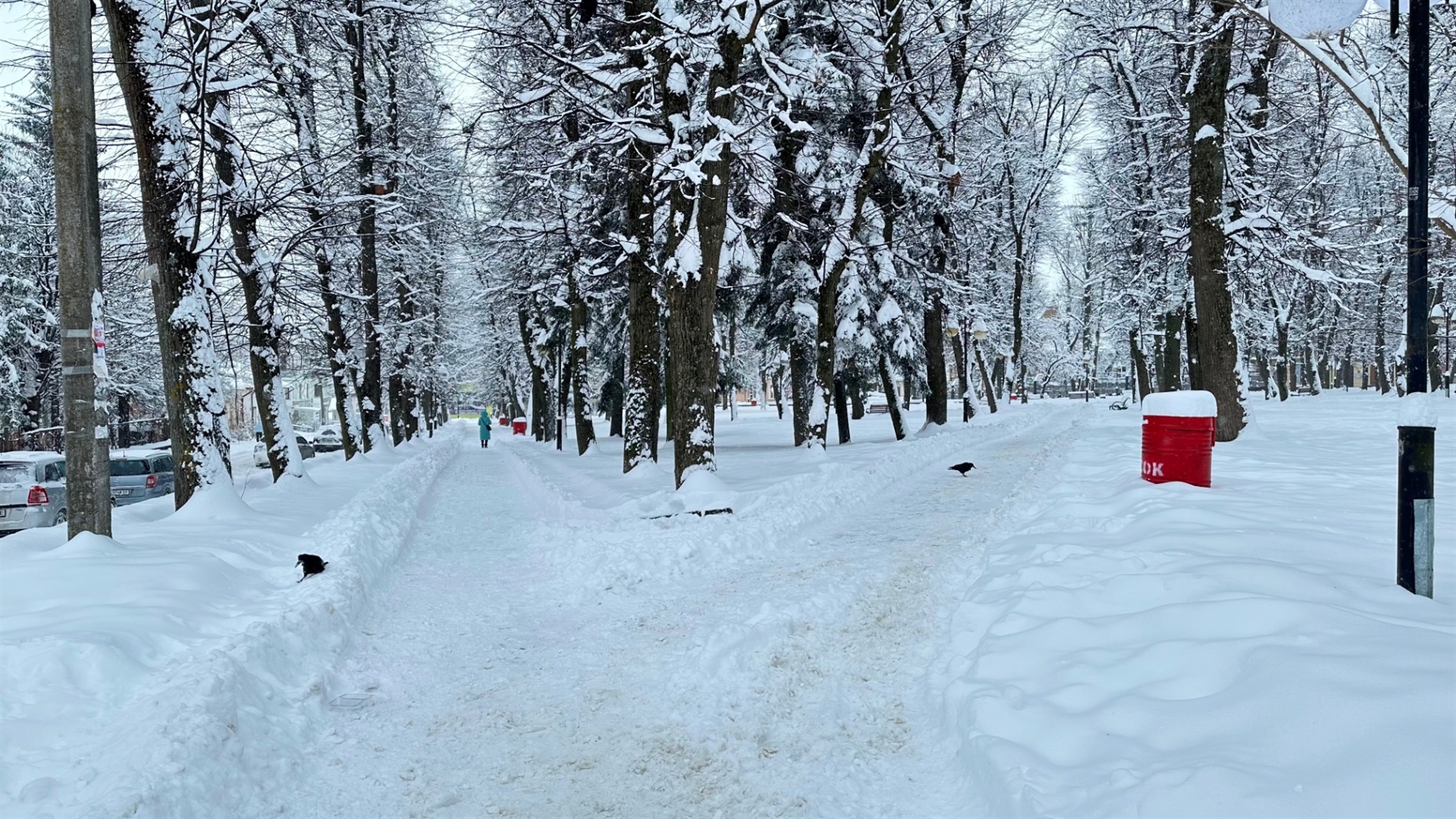 Як Дрогобич долає наслідки снігопаду: репортаж з вулиць міста