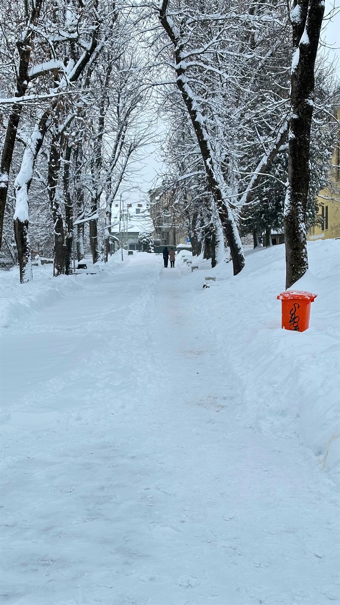 Як Дрогобич долає наслідки снігопаду: репортаж з вулиць міста
