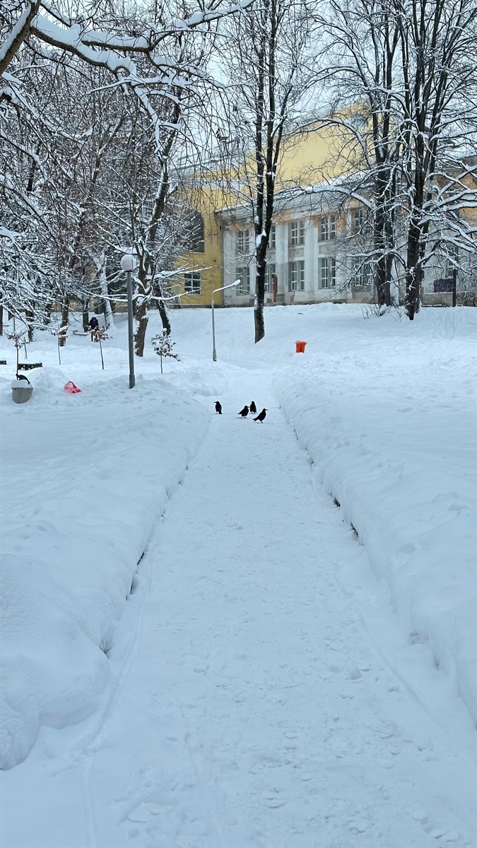 Як Дрогобич долає наслідки снігопаду: репортаж з вулиць міста