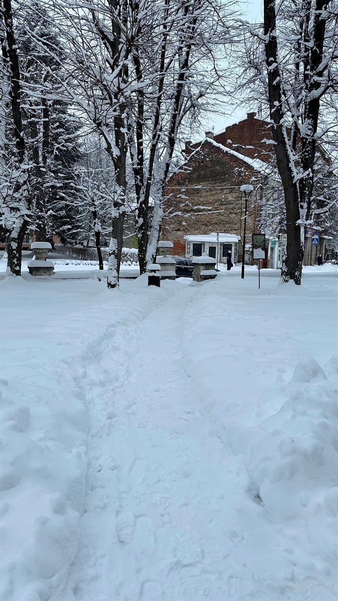Як Дрогобич долає наслідки снігопаду: репортаж з вулиць міста