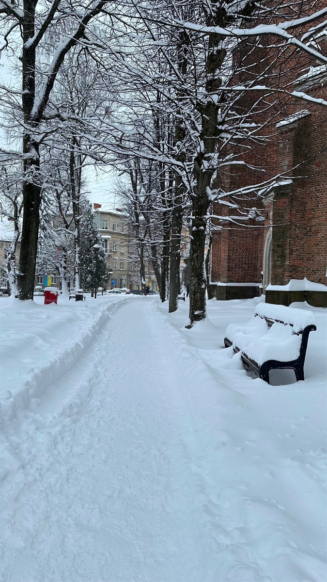 Як Дрогобич долає наслідки снігопаду: репортаж з вулиць міста