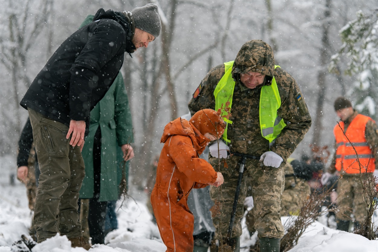 висадка дерев