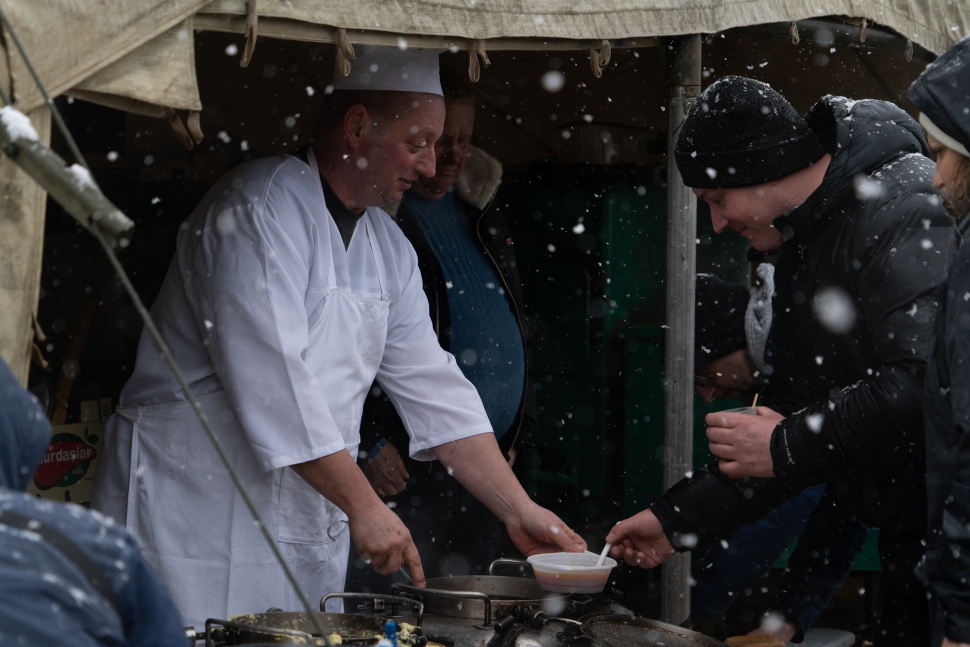 Бригада “Чорний ліс” запрошує висадити 4 000 дубів у свою річницю: як долучитися