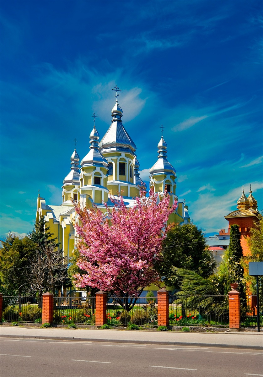 сакура