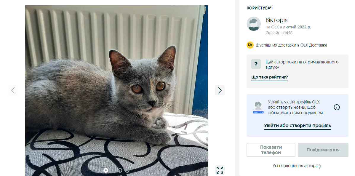 Киця в добрі руки Дрогобич