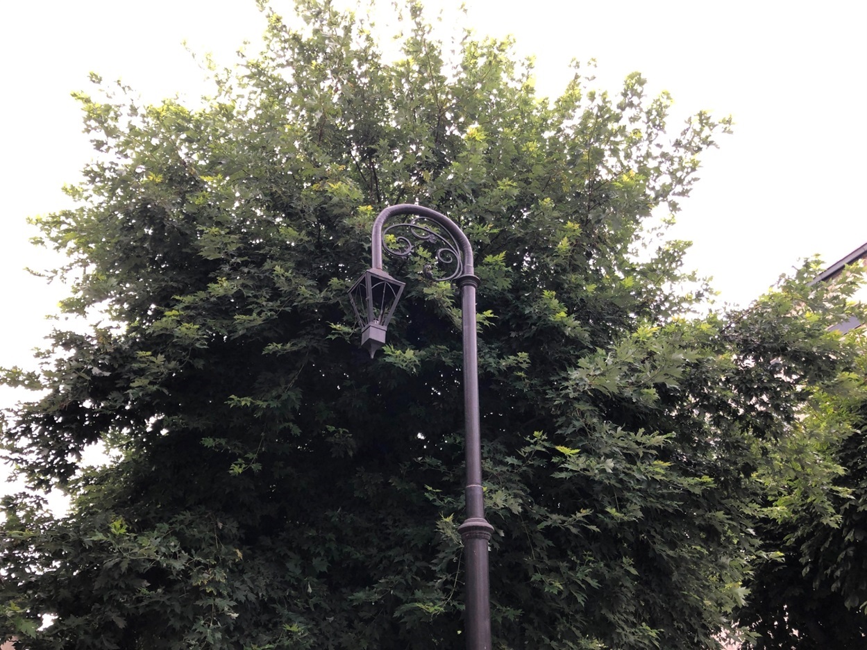 Гасовий ліхтар