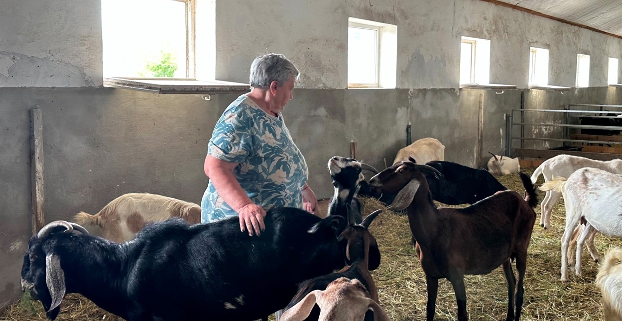 Лариса нервувала, адже перевізники відмовлялися їздити й уже могли початися артилерійські обстріли